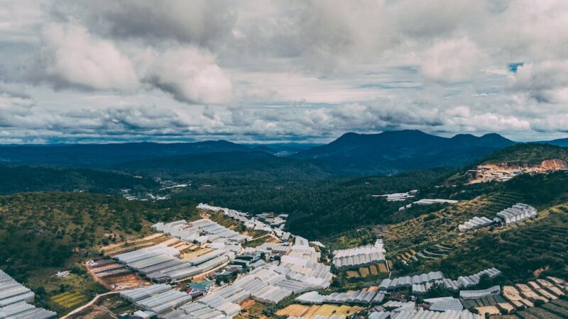 Curso de batismo online: A essência da fé e tradição.